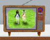 TV and horses