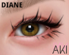 Aki Dear Diane Lash 2