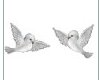white doves