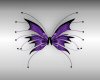 Purple Fantasy Wings