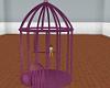 Purple Bird Cage