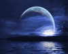 Blue Night Moon