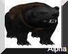 AO~Animated Bear & growl
