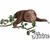 Baby Sloth