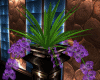 Pillar orchid purple