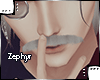 [Z.E] Gray Moustache