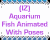 (IZ) Aquarium Fish Poses