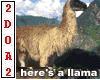 Llama Are Hott