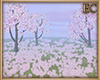 EC| Spring Photoroom