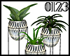 *0123* Plants Set