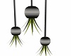 Steel Potted Hanging