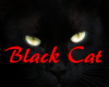 "MM" Blackcat signs