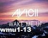 Avicii-Wake Me Up[Lyric]