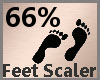 Feet Scaler 66% F