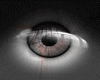 [MAR] Grey real eyes