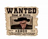 CROW, WANTED POSTER