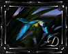 .:D:.Haiti Parrot 2
