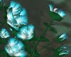 Fantasy Blue Roses Bush