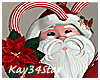 Christmas Sweet Santa