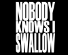 Nobody Knows - Swallow