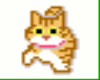 {MA}Animated Cat -MM