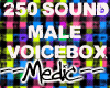 250 Sound Male Vb