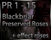VIPER ~ Preserved Roses