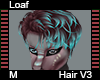 Loaf Hair M V3
