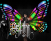 large butterfly wings V5