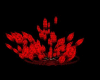 Red Boom