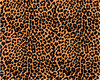 leopard print fez