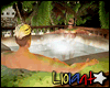 L|.  Hot Springs jacuzzi
