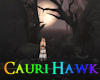 JL Haunted Hallows