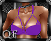 {Q}BRA LACE~PURPLE 2