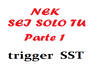 Nek - Sei Solo Tu (1)