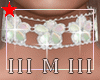IIIMIII►FLOWERSe.e