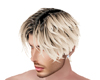 Hair Blonde