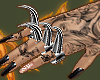 claws R