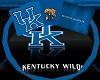 KY Wildcats Cuddle Chair