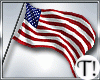 T! 4th July USA Flag L