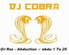 DJ Rez - Abduction