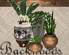 Backwoods Plant Group