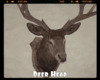 *Deer Head
