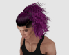 Purple Curly