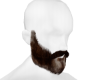 Thick beard