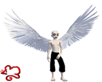 White Angel Wings