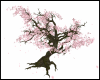 MK Sakura Tree Animated