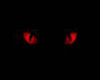 DJ System "Red Regard"