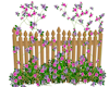 fence/flowers