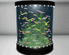 Colorful Fish Aquarium
